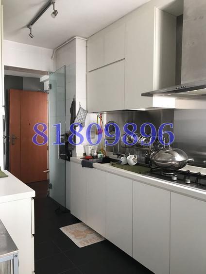 Blk 22 Ghim Moh Link (Queenstown), HDB 4 Rooms #146848132